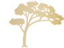 British International School